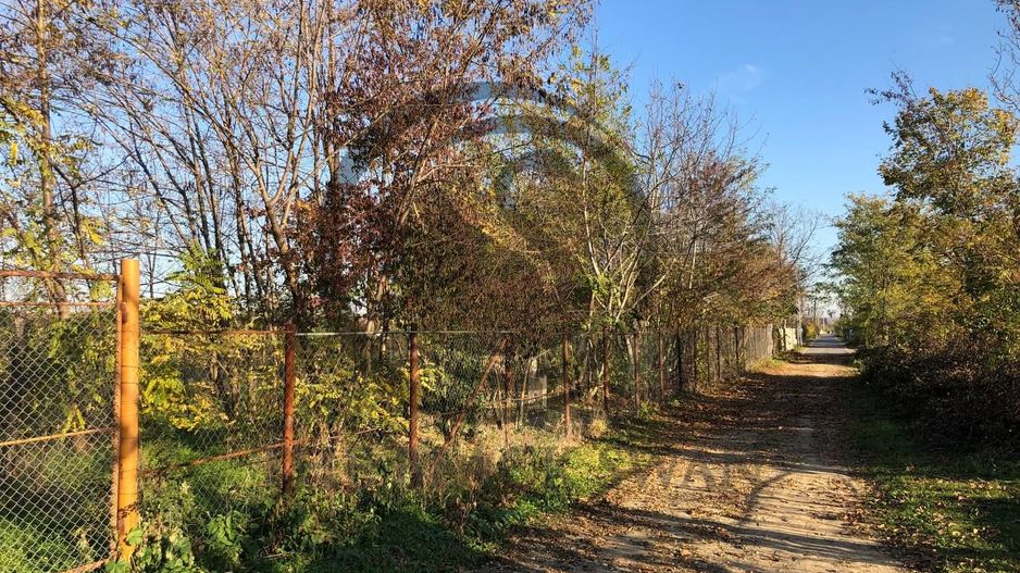 Teren intravilan de vanzare | 12.650 mp | Ghirdoveni, | COMISION 0% - Poză 10