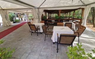 RESTAURANT / SALĂ EVENIMENTE – FILIAȘI | 2.000 MP UTILI | 2.200 MP TEREN - Poză 9