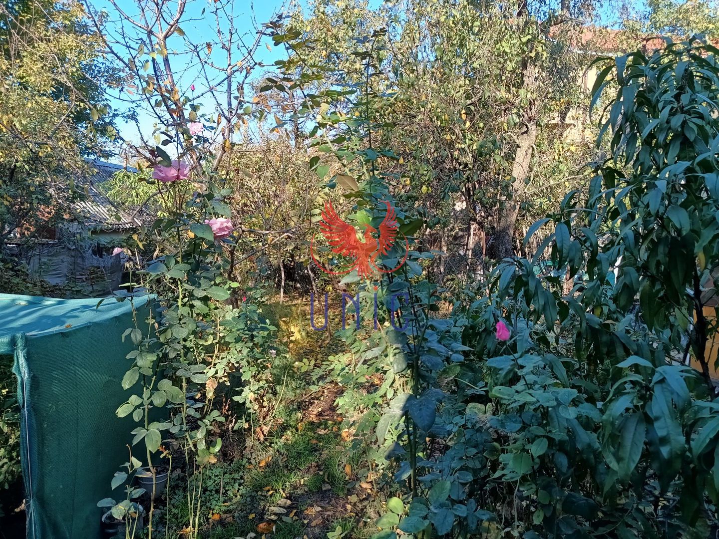 Oportunitate  teren intravilan, zona Sydney - Poză 2