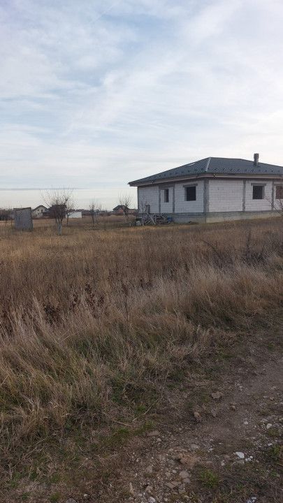 Oferta Teren Bradu - Poză 1