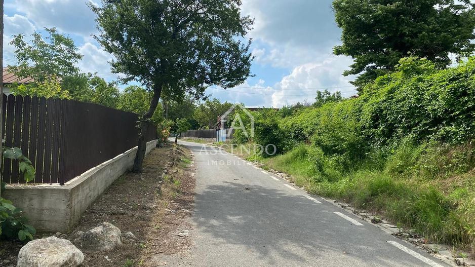Domeniu 15.900 mp în Fințești | Casă + Investiție Dealu Mare - Poză 23