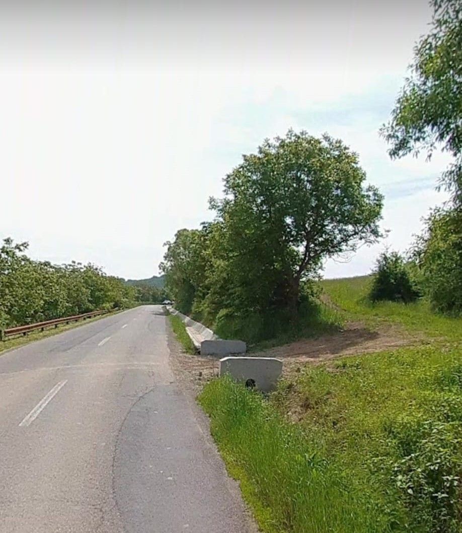 Teren intravilan -Sânișor- 8700 mp - Poză 1