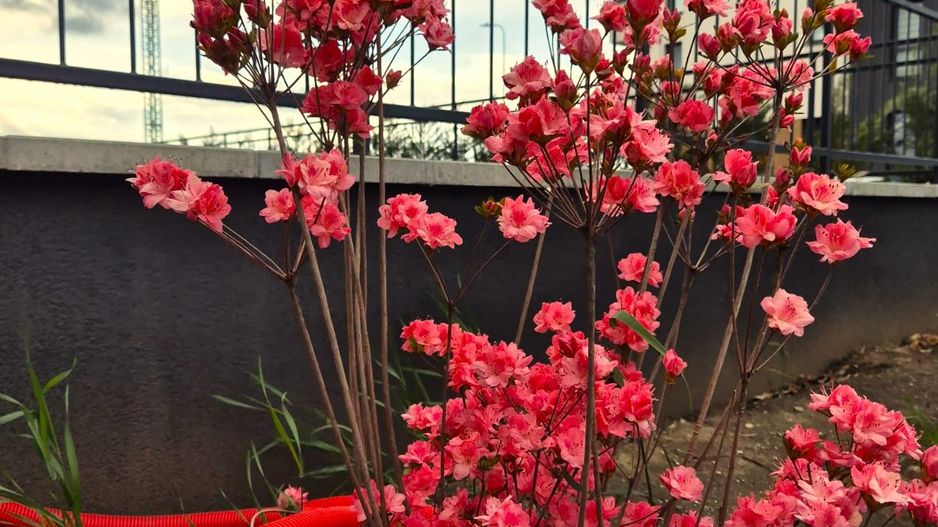 Apartament decomandat la prima inchiriere, ideal pentru un cuplu. - Poză 16