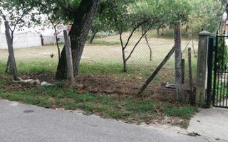 Teren Intravilan 10.000 mp | Livadă + Pădure de salcâm | Bărbătești - Poză 5