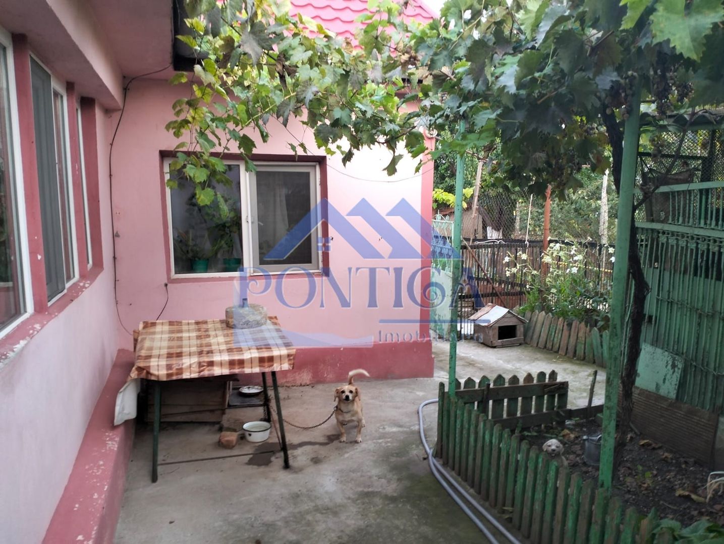 Oportunitate de Investiție casa  în Lumina - Poză 5