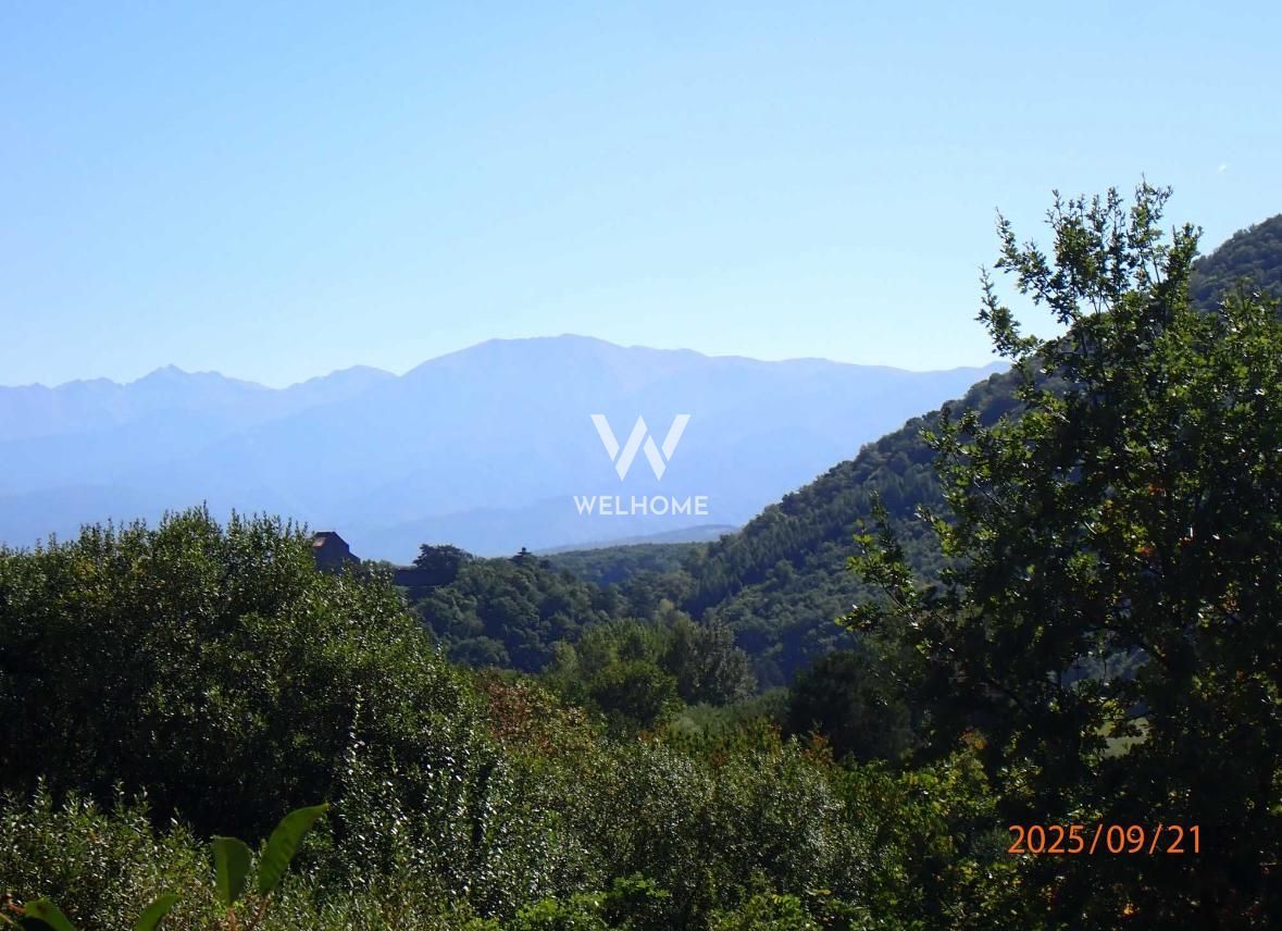 Teren intravilan Cisnadioara, Sibiu - Poză 2