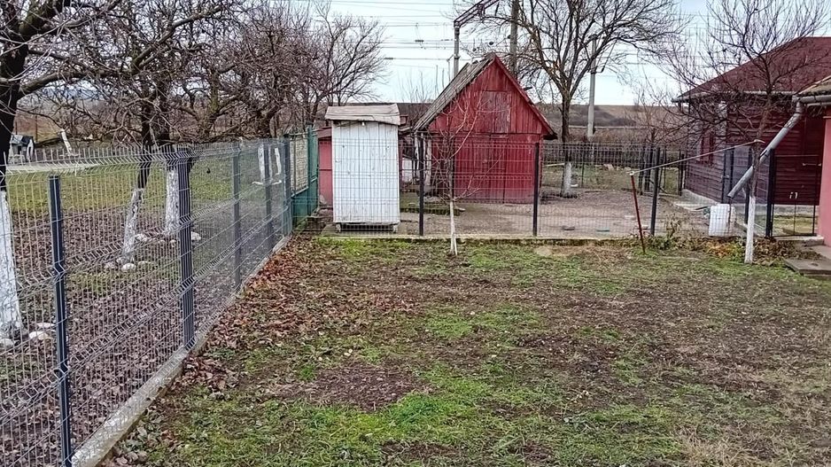 OFERTĂ in Băcia, Hunedoara ! Proprietate 2 case + Cabană + Livadă - Poză 26