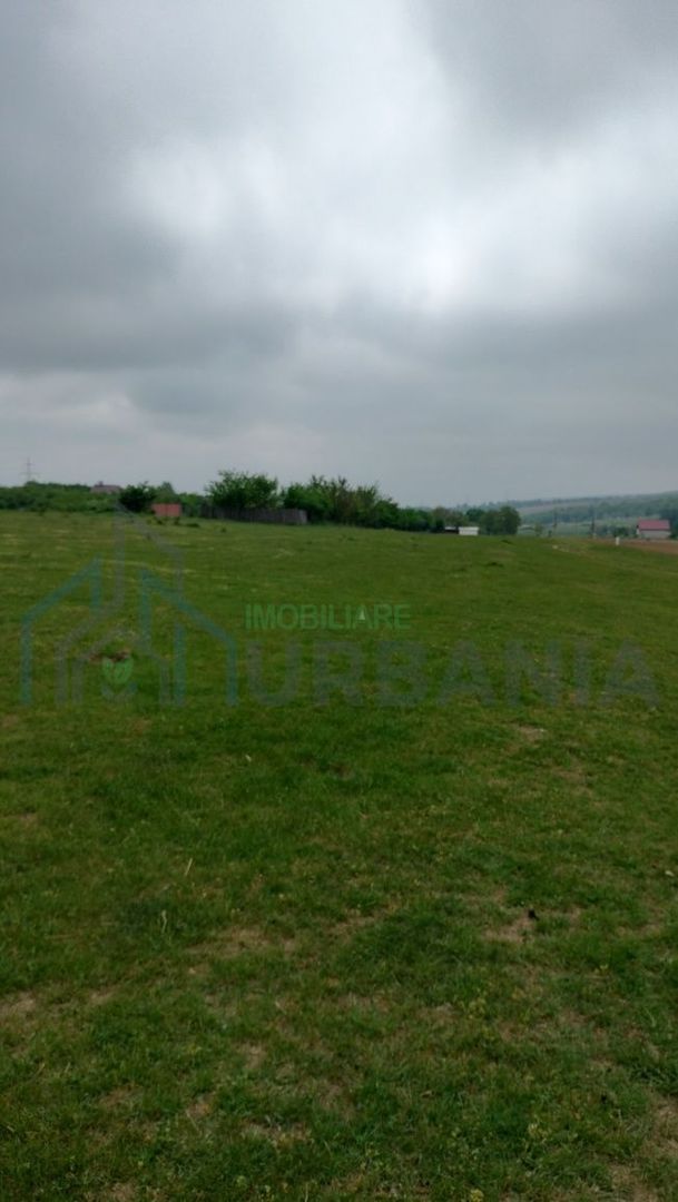 Teren intravilan 7.200 m2, Bordea, Grajduri, ideal case/ investitie - Poză 2