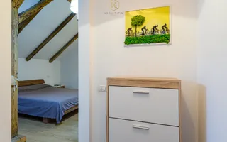 Oportunitate de investiție în centrul Timișoarei - Poză 19