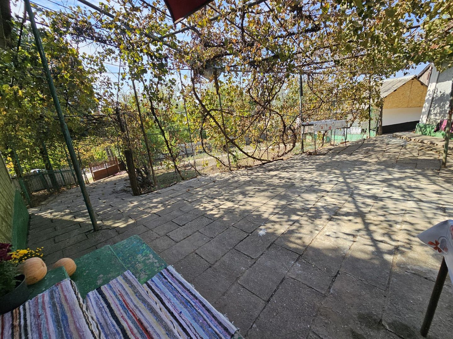 Casă tradițională cu anexe și teren 1.100 mp – VASLUI - MUNTENII DE JOS; - Poză 16