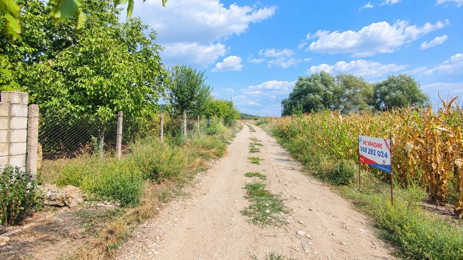 TEREN PENTRU GRĂDINI – 12 ARI | FLORENI, ANENII NOI - Poză 5