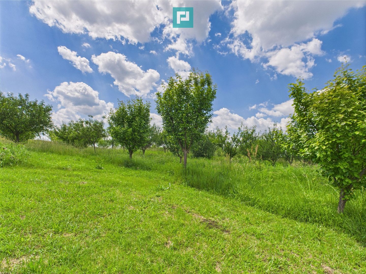 Teren cu baltă- oportunități multiple la Fibiș - Poză 3