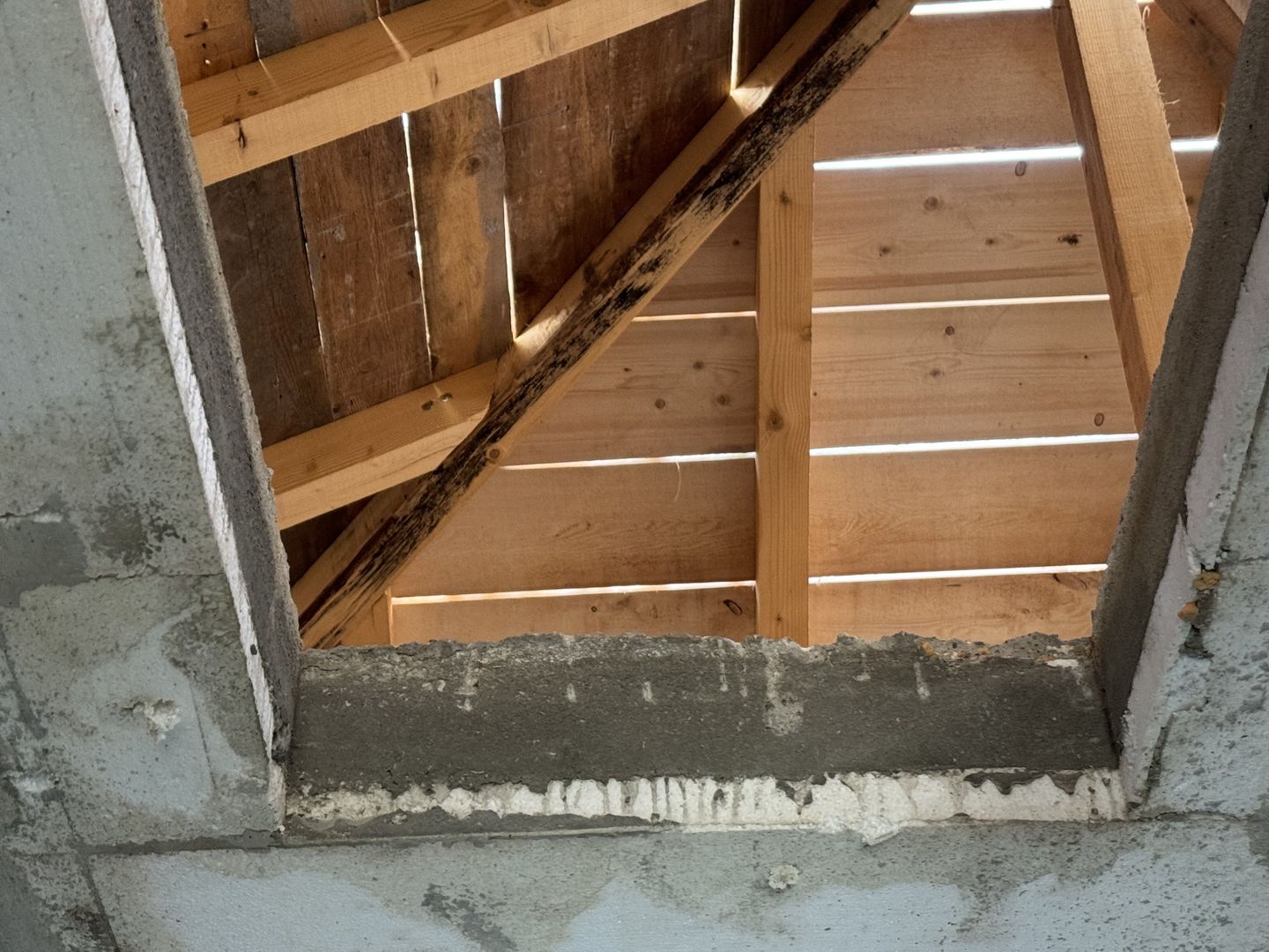 Individuala Parter Sanmihaiu Roman,4 Camere,2 Bai,Proiect Modern,Curte Amenajata - Poză 12