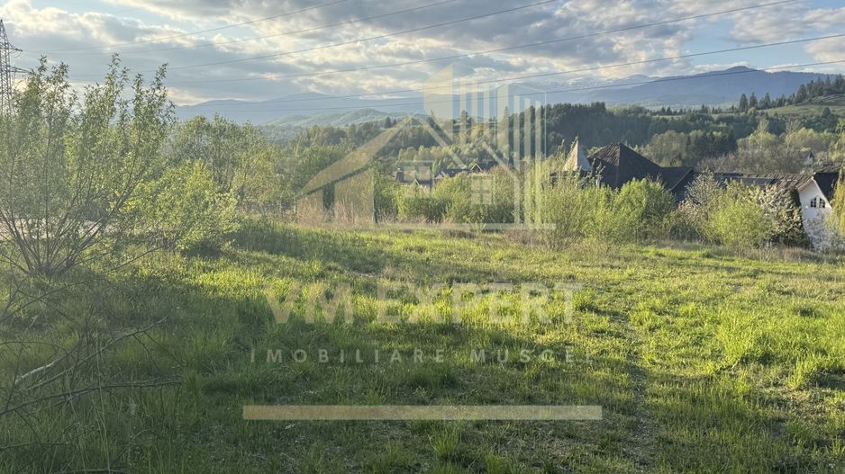 TEREN INTRAVILAN 2500 MP GRUI CAMPULUNG - Poză 1