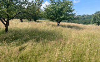 Teren intravilan I Loc deosebit, inconjurat de padure I Vladeasa - Poză 4