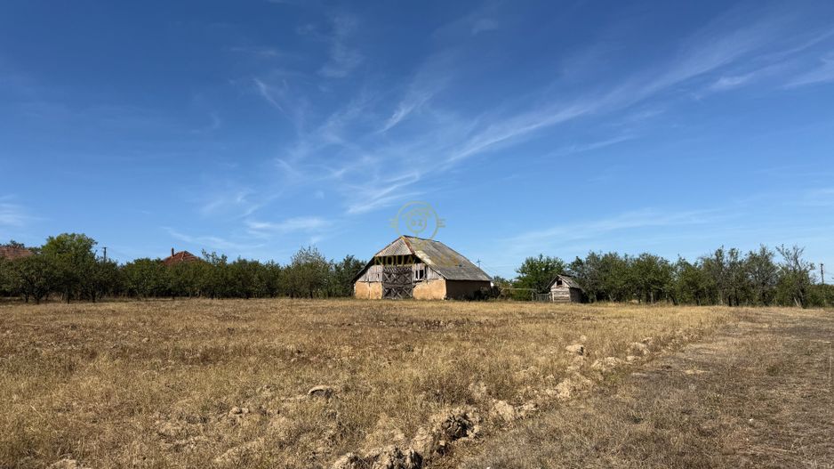 De Vanzare Casa +Teren Intravilan cu 68M FRONT (LOC DE INCA 2 CASE ) - Poză 12