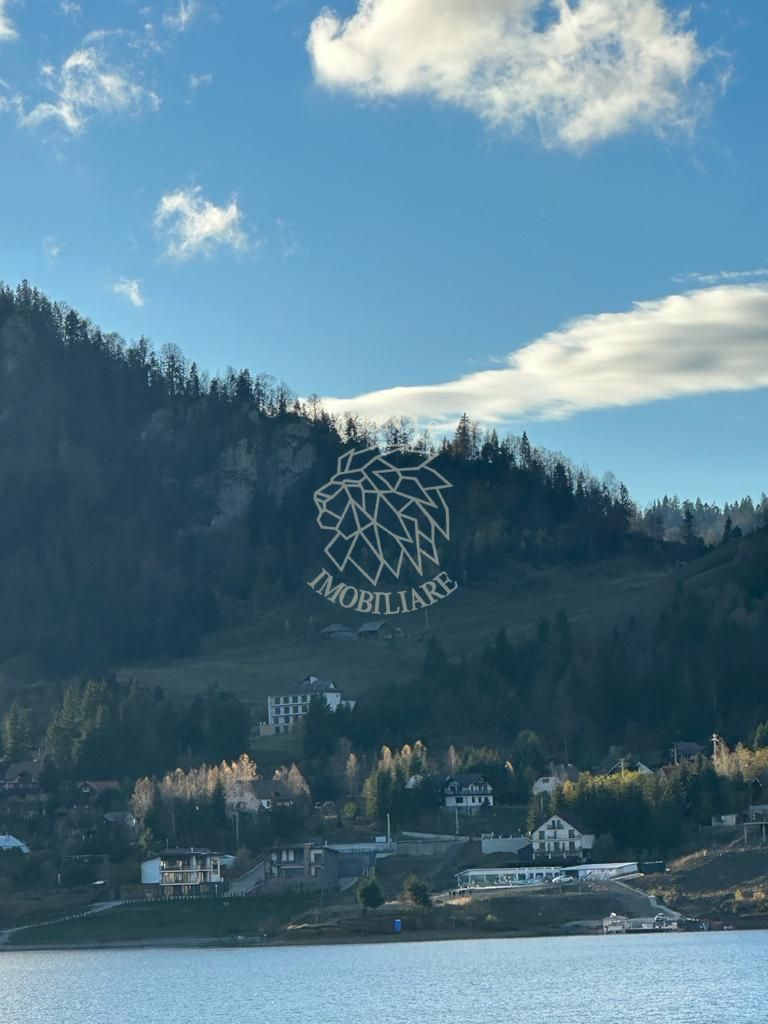 Teren intravilan 3200mp-parcelabil-panorama-Colibita-EXCULSIV - Poză 4