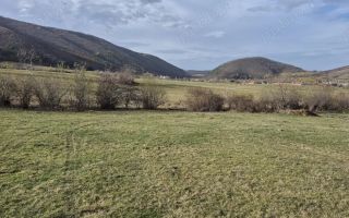 Teren extravilan | Investitie | Orlat - Poză 2