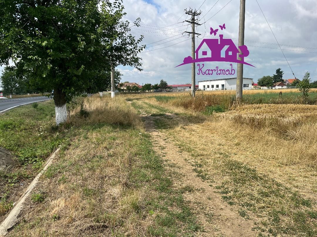 Teren la intrare in localitatea  Gepiu - Poză 5