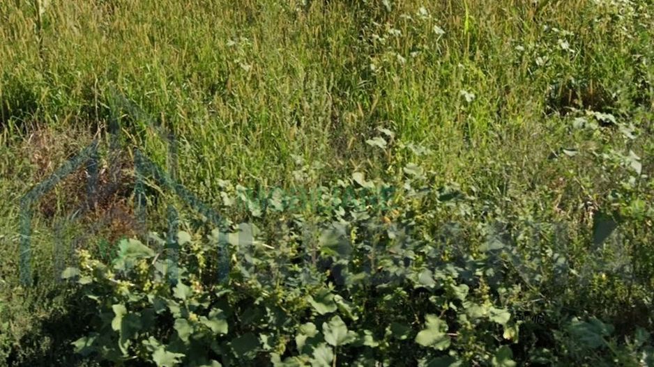 Teren intravilan de 2900 mp in Ruginoasa, Iasi, langa DN28 - Poză 4