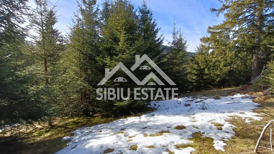 Teren de vânzare în zona montană a județului Alba - Poză 6