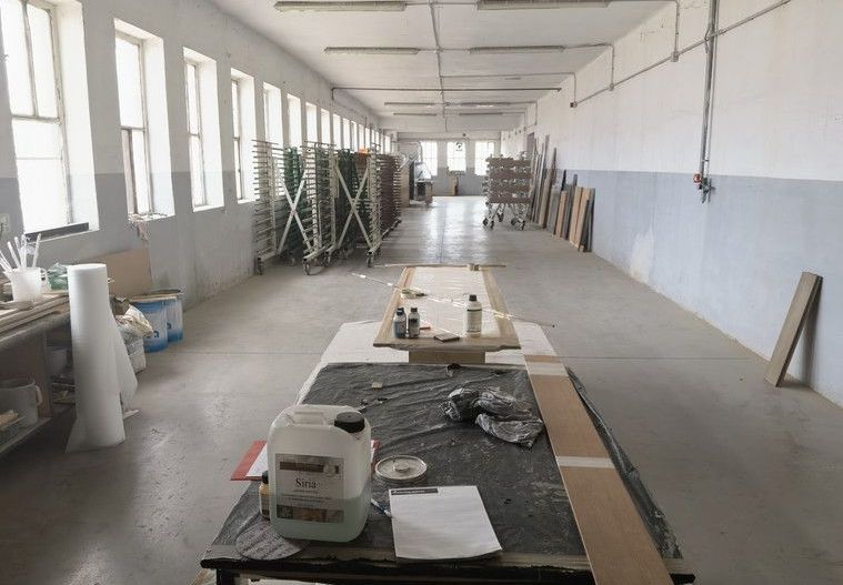 Proprietate industriala la 30 km exterior sud Timisoara - Poză 35