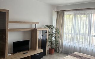 Apartament de inchirat- 1 camera-Pictor Brana - Poză 4