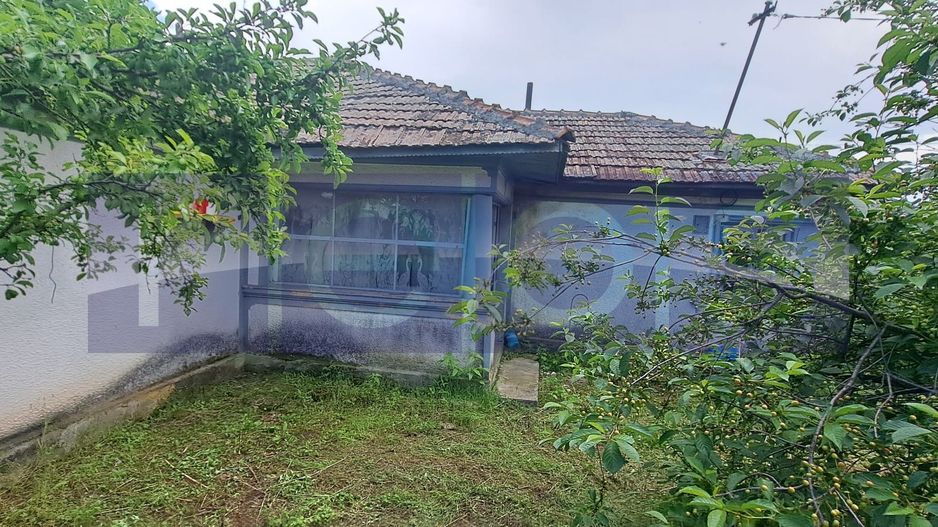 VANZARE CASA | TEREN 2500 MP | LIVADA SI VIE | SAT BREBINA – SCRIOASTEA - Poză 3