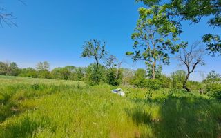 CASA TARANEASCA | TEREN 3000 MP | DESCHIDERE 52 M | COMUNA CIOLANESTI - Poză 3