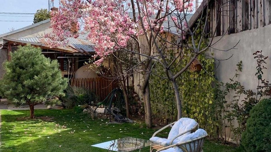 Vand  casa curte  + teren + SPATIU COMERCIAL - Poză 3