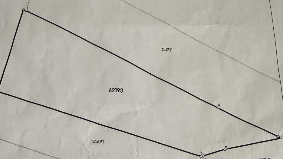 Teren intravilan Saldabagiu De Munte - Poză 1