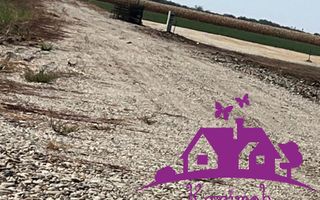 Teren industrial pentru hale - Poză 2