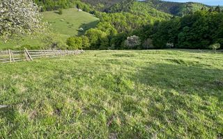 Teren de vânzare în Cugir - Poză 2