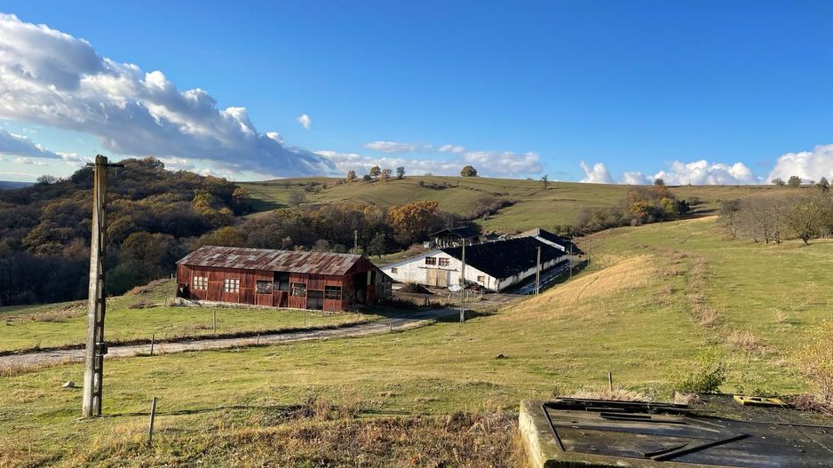 Ferma cu teren de 200 hectare - Poză 4