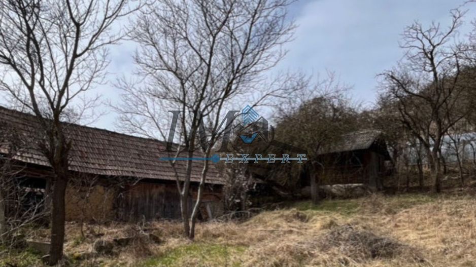 Casa taraneasca de vanzare in Blandiana in judetul Alba - Poză 3