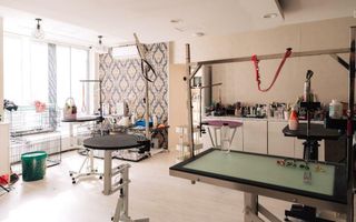 Spatiu comercial de inchiriat - Unirii - Poză 9