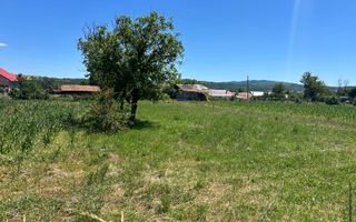 Teren intravilan de vânzare – Cașin, județul Bacău - Poză 1