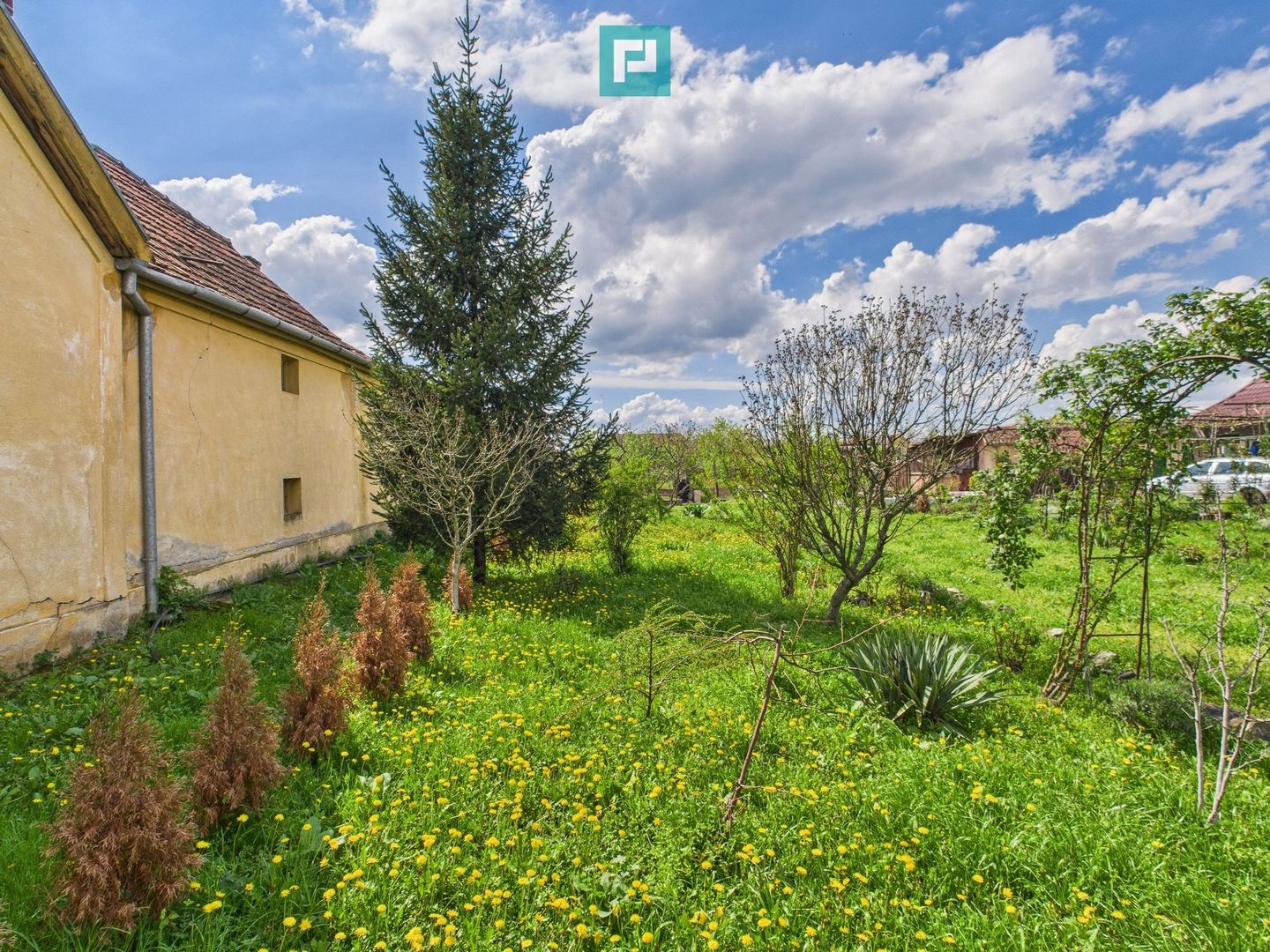 Casă individuală la Beregsău Mare, 2890 mp teren - Poză 28