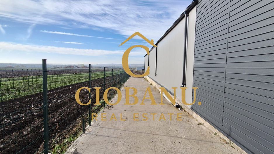 Hala de vanzare in Racari de Jos - Poză 13