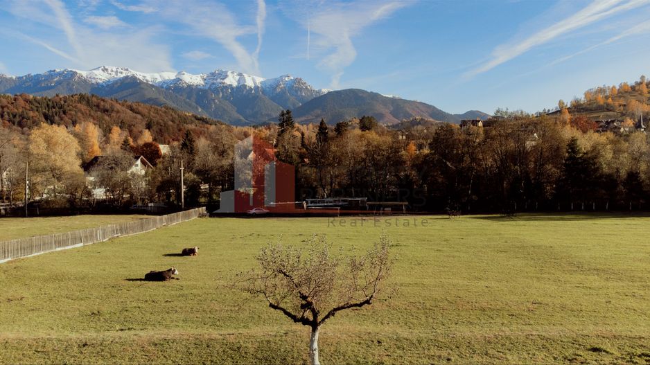 Teren 15.941 mp Moieciu | parcelabil | aproape de Castelul Bran - Poză 4