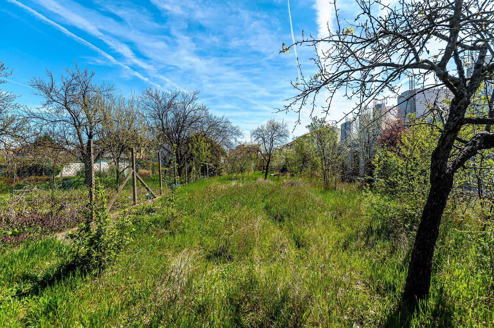 Casă veche cu teren generos într-o locație deosebită - oportunitate - Poză 4