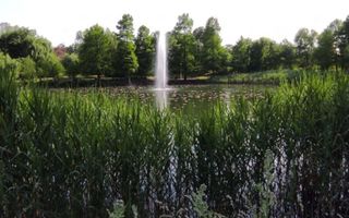 Lacul Tei Parcul Circului - Apt de inchiriat cu 2 camere - Poză 4