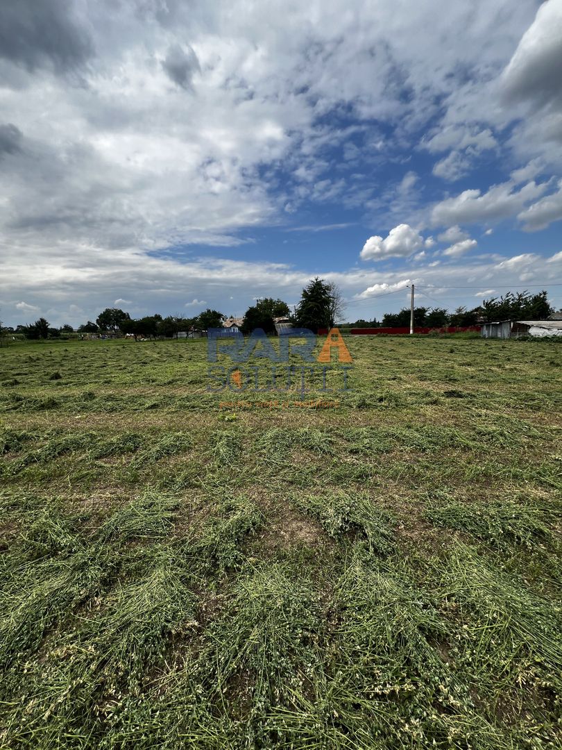 Casă cu 3500 mp teren, Sat Miron Costin - Brănișteni (str. Macilor) - Poză 12