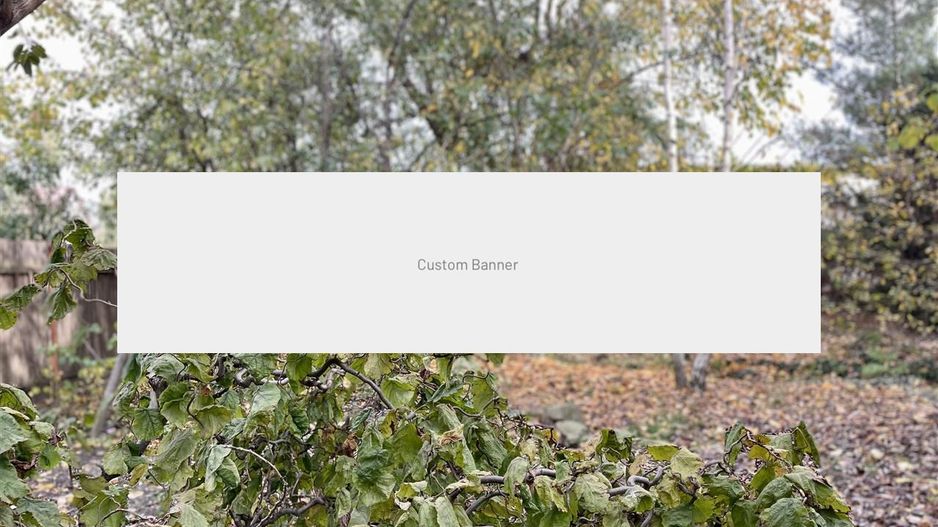 Casa individuala deosebita cu 4 camere P+M zona Ciarda Rosie Timisoara - Poză 14