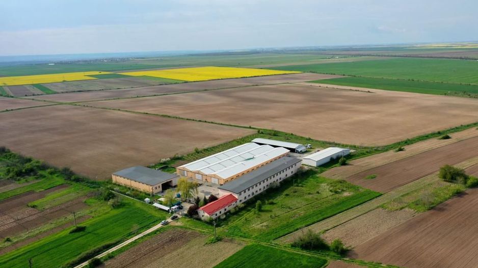 HALE INDUSTRIALE & PLATFORME BETONATE & TEREN INTRAVILAN 23500MP CRAIOVA - Poză 7