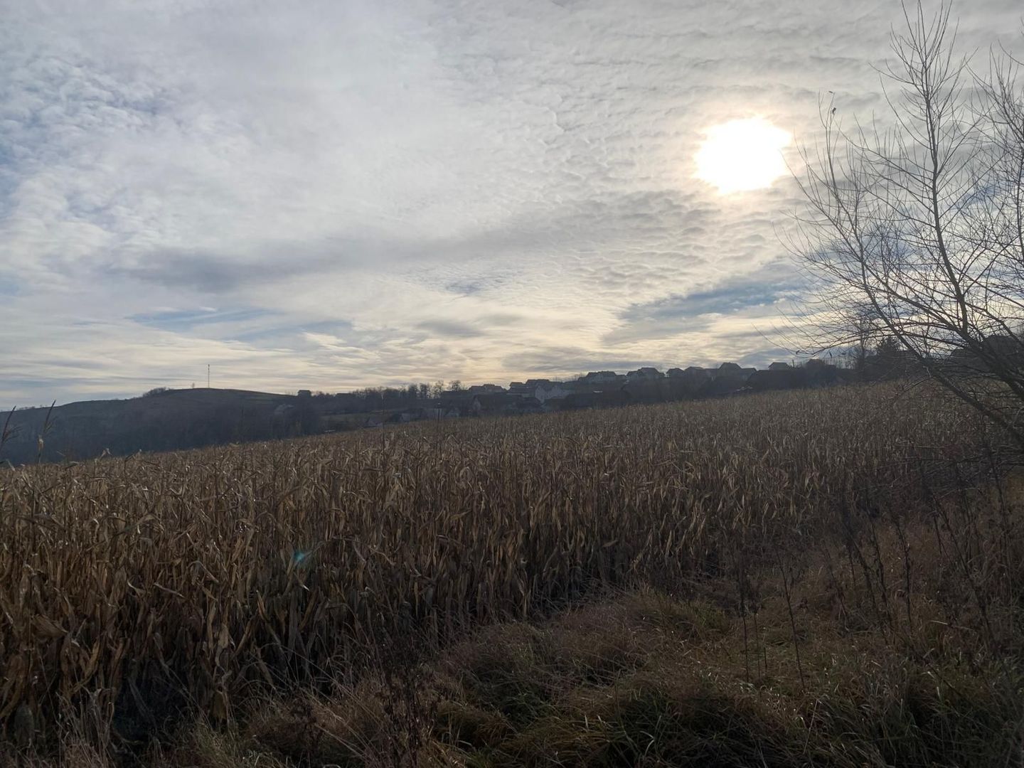 Teren intravilan de vânzare | Cajvana | 7.800 mp - Poză 10