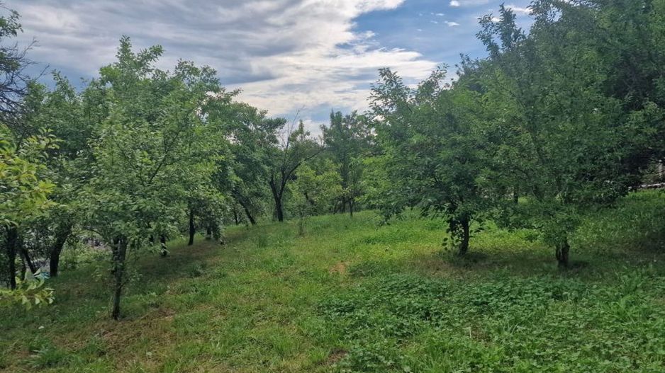 Teren intravilan  1400 mp - Albota ! - Poză 4