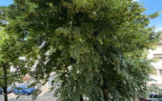 PRIMAVERII | INCHIRIERE APARTAMENT LUX IN VILA | 115 MP | NEMOBILAT | - Poză 25