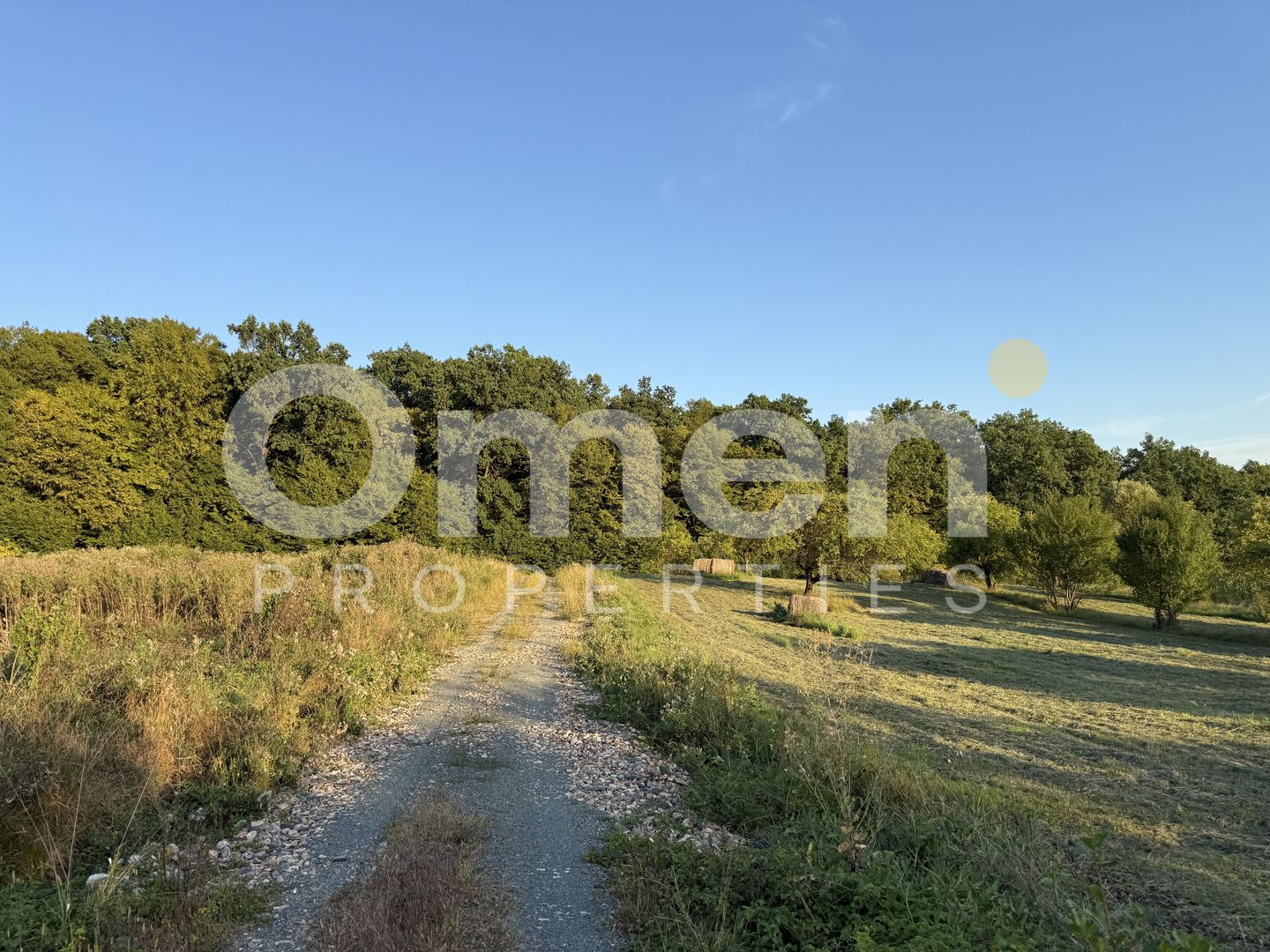 Teren intravilan de vânzare 7.000 mp – Groși, spre Dumbrăvița - Poză 2