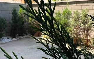 Eleganta,confort si exclusivitate-Casa pe care o vei numi "ACASA" - Poză 2